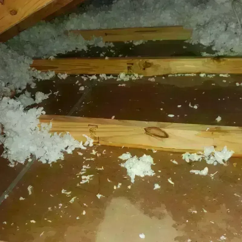 Attic Water Damage in Seaside, OR