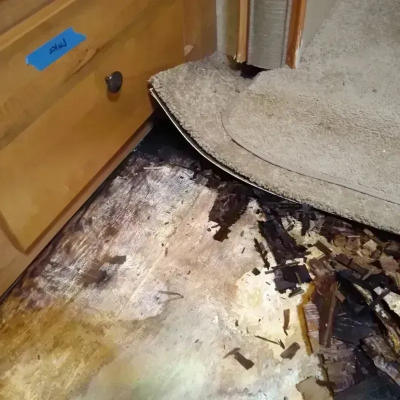 Wood Floor Water Damage in Seaside, OR